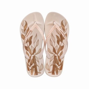 Chancletas Ipanema Ana Nature IV Mujer Beige Doradas | 25497MKVE