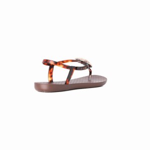 Sandalias Ipanema Leaf Mujer Marrones Doradas | 27695WLON