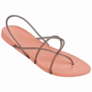 Sandalias Ipanema Philippe Starck Thing G Mujer Rosas Gris | 35840PCGL