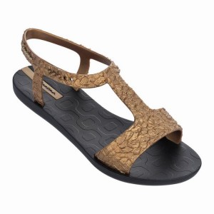 Sandalias Ipanema Venus Mujer Negras Doradas | 24793AIWE