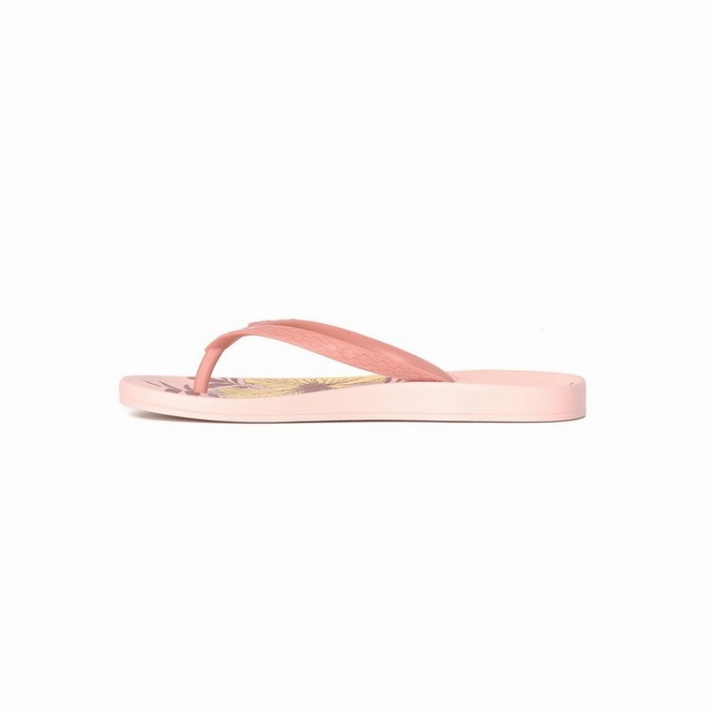 Chancletas Ipanema Ana Hibiscus Mujer Rosas | 32790LFMY