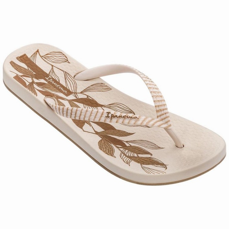 Chancletas Ipanema Anatomic Nature IV Mujer Beige | 42613FZOD