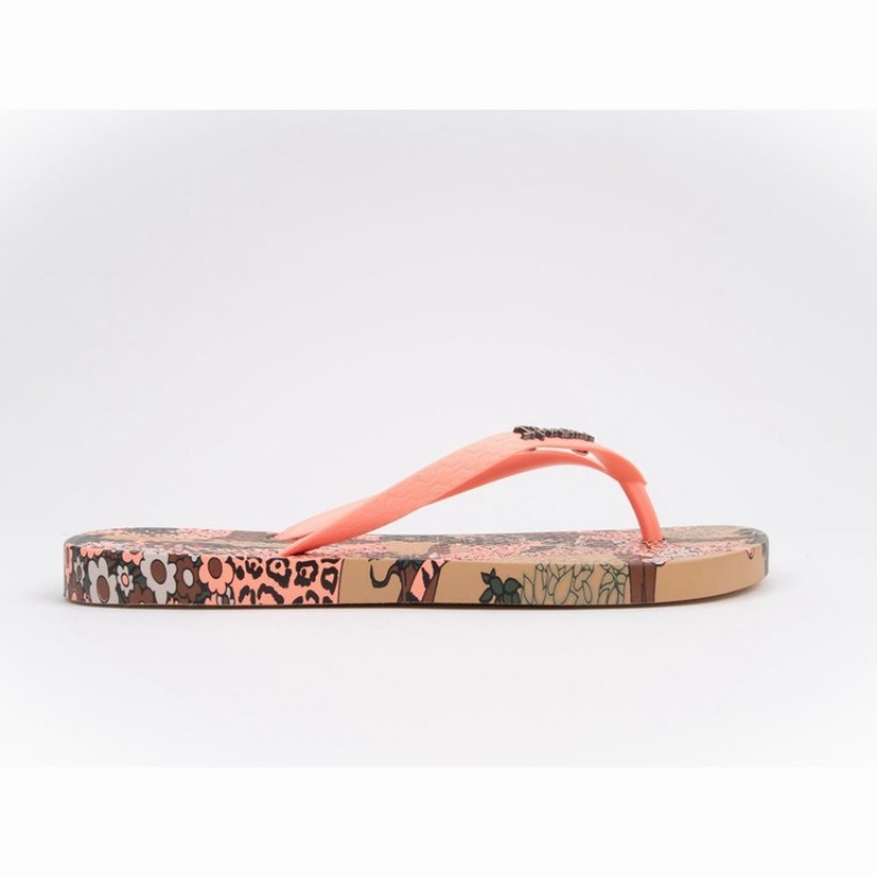 Chancletas Ipanema Pop Mujer Beige Rosas | 19735LIME